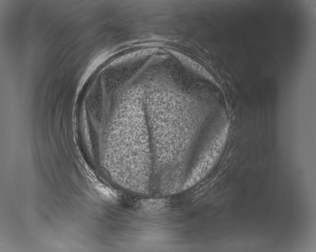 X0000076300102200610201557