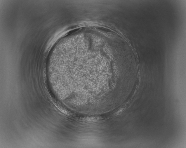 X0000076300103200610201557