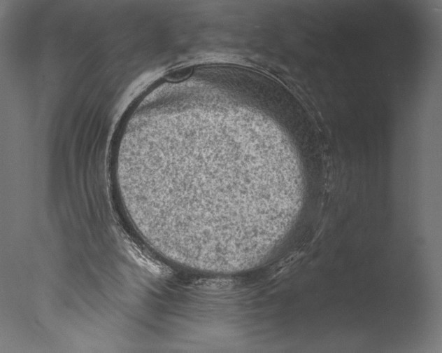 X0000076300104200610201557