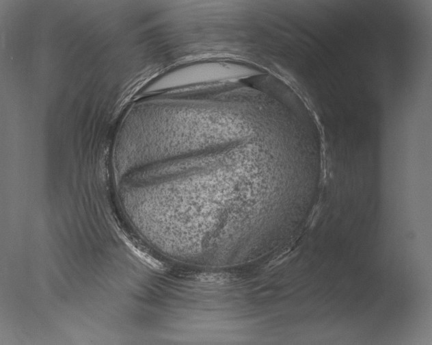 X0000076300105200610201557