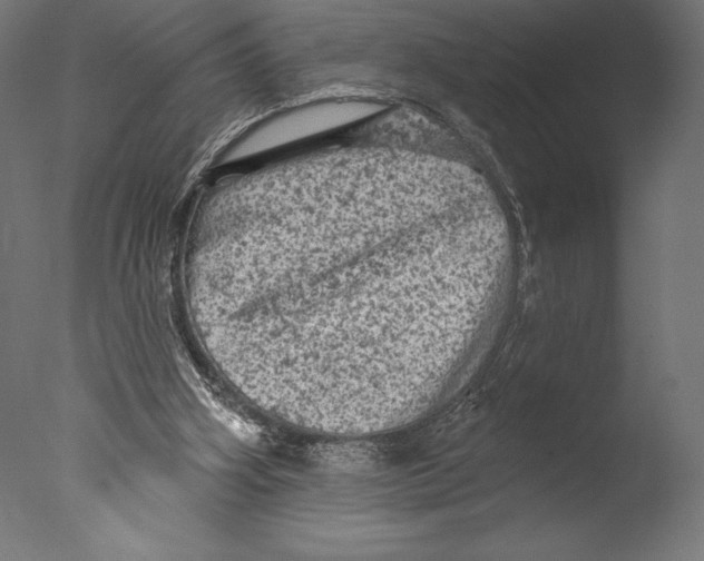 X0000076300106200610201557