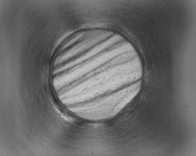 X0000076300107200610201557