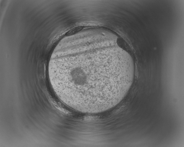 X0000076300109200610201557