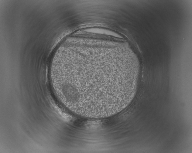 X0000076300110200610201557