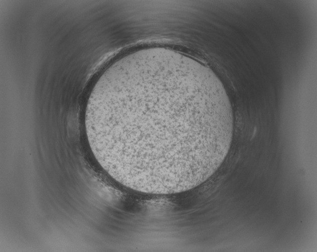 X0000076300112200610201557