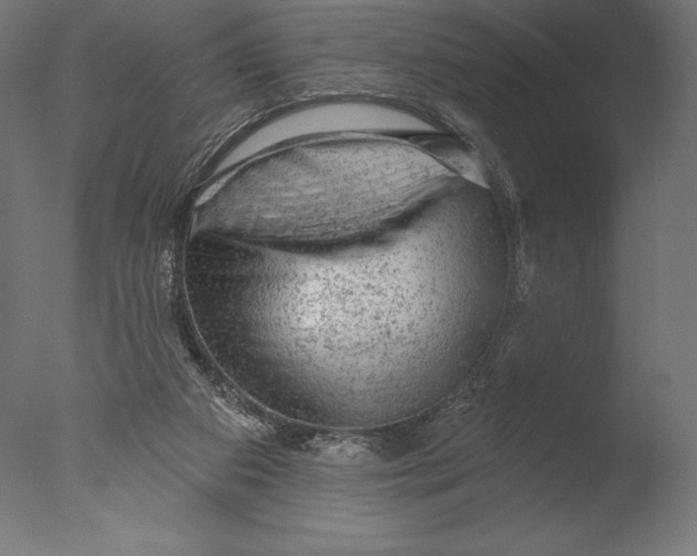 X0000076300113200610201557