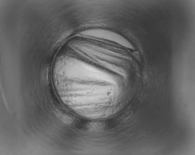 X0000076300115200610201557