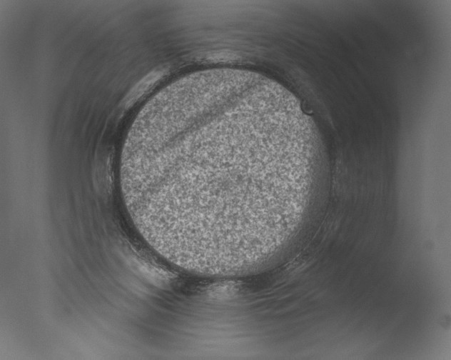 X0000076300116200610201557