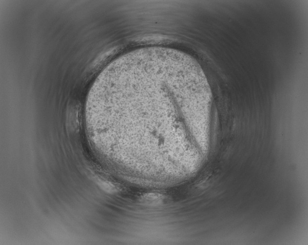 X0000076300119200610201556