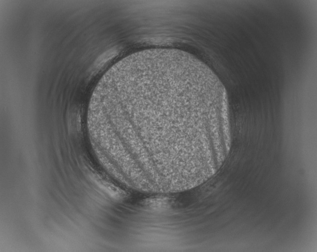 X0000076300120200610201556