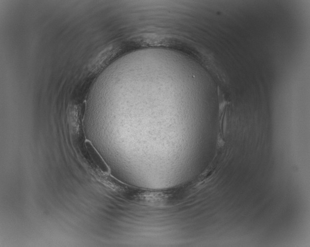 X0000076300121200610201556