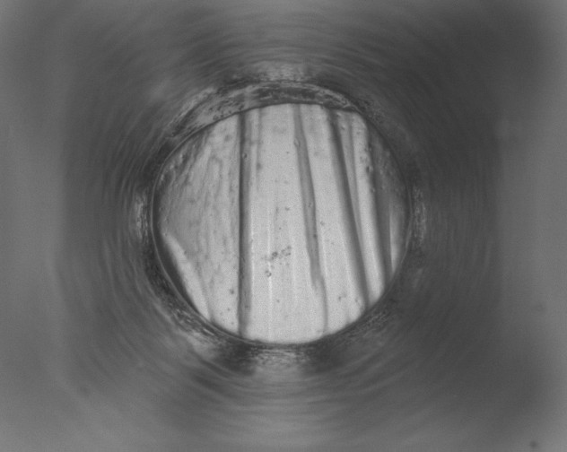 X0000076300123200610201556