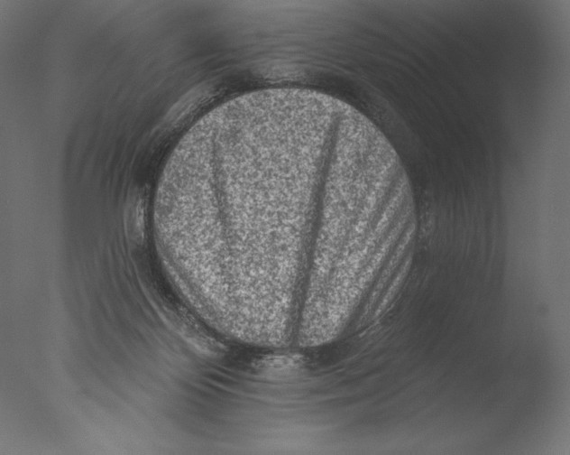 X0000076300124200610201556