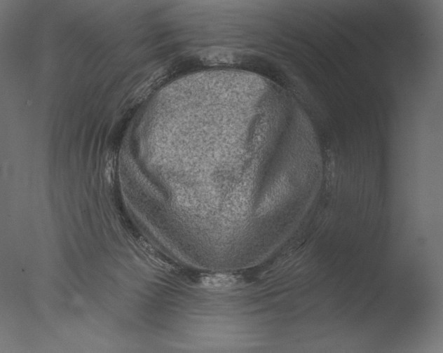 X0000076300125200610201556