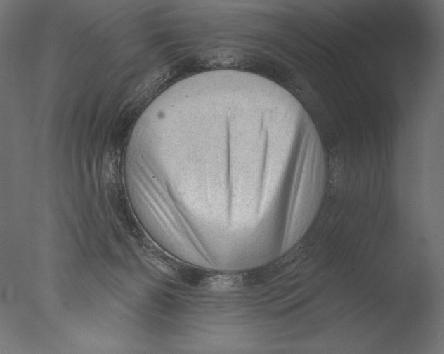 X0000076300126200610201556