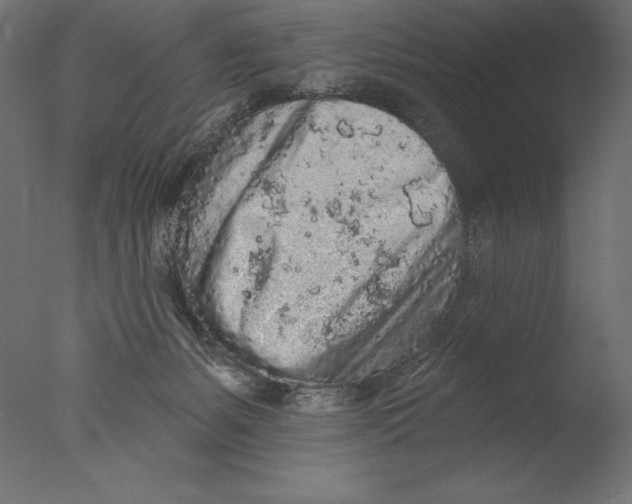 X0000076300127200610201556