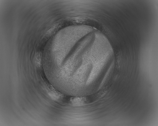 X0000076300129200610201556