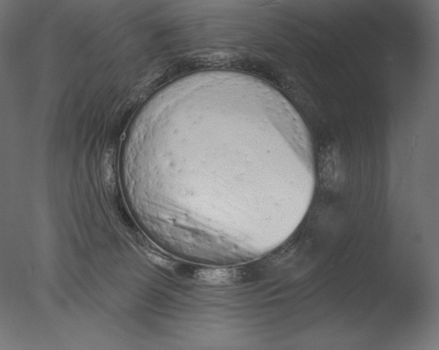 X0000076300131200610201556