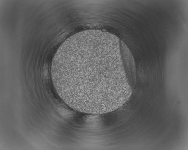 X0000076300132200610201556