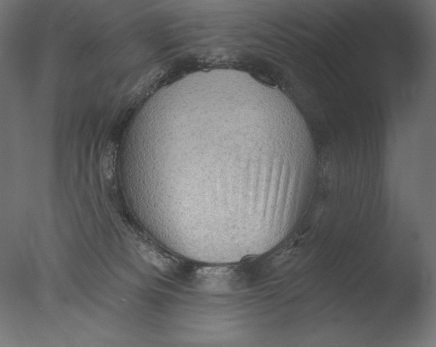 X0000076300133200610201556