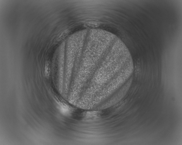 X0000076300134200610201556