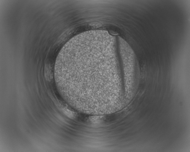 X0000076300136200610201556