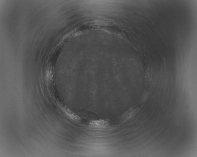 X0000076300137200610201556