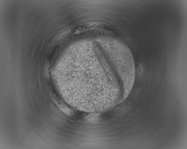 X0000076300138200610201556