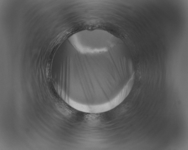 X0000076300139200610201556