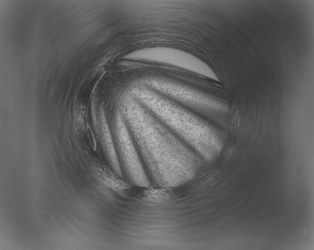 X0000076300141200610201556