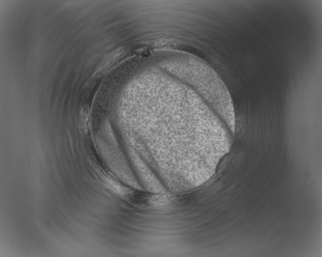 X0000076300142200610201556