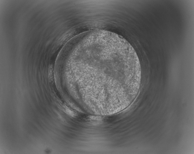 X0000076300144200610201556