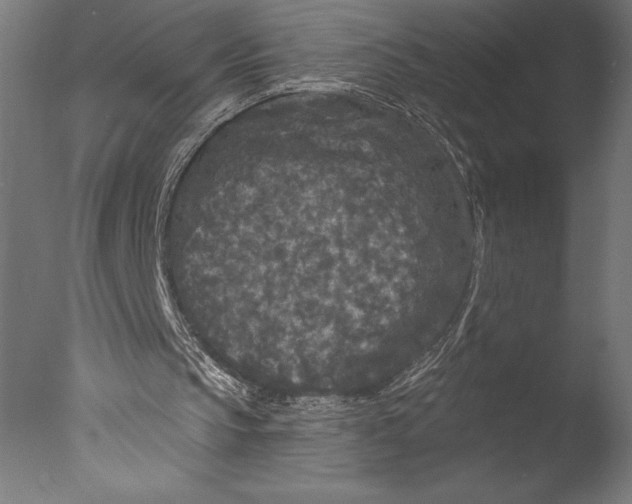 X0000076300145200610201555