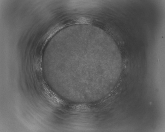 X0000076300146200610201555