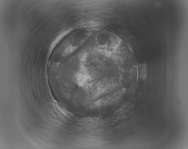 X0000076300147200610201555