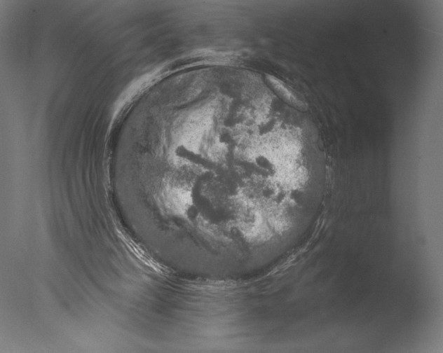 X0000076300149200610201555