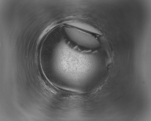 X0000076300150200610201555