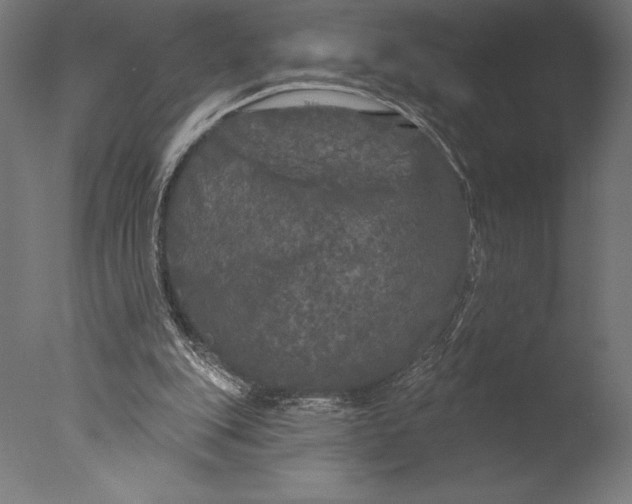 X0000076300151200610201555