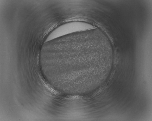 X0000076300153200610201555