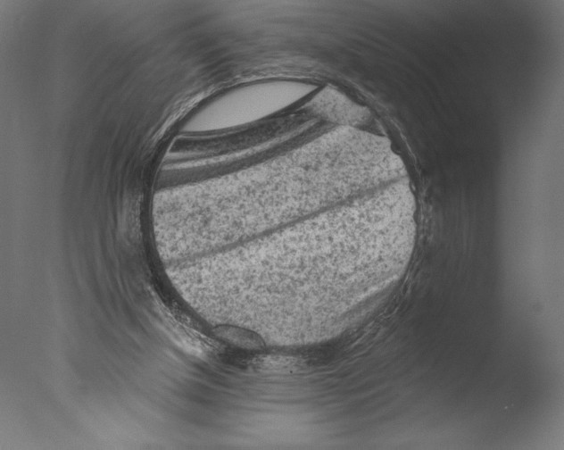 X0000076300154200610201555