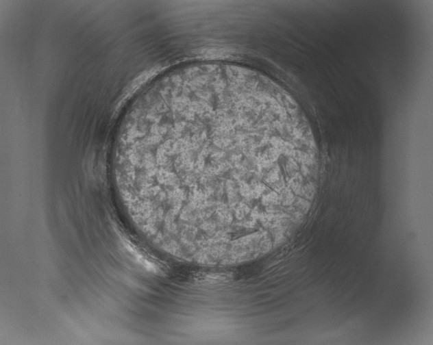 X0000076300155200610201555