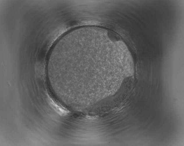 X0000076300156200610201555