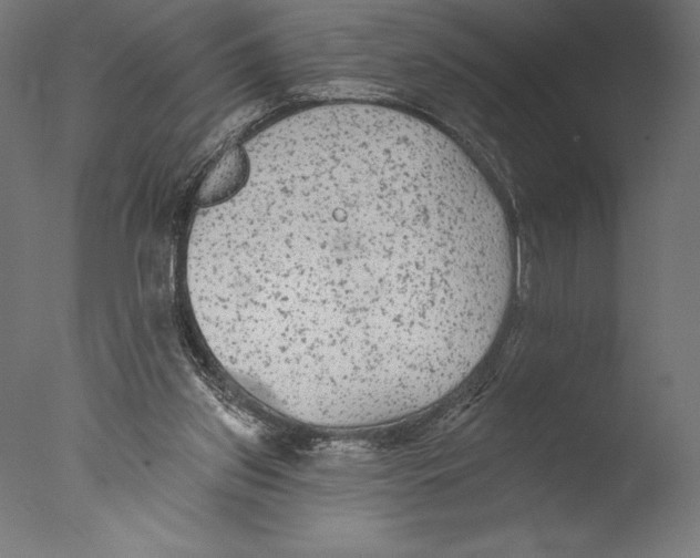 X0000076300157200610201555