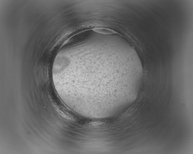 X0000076300158200610201555