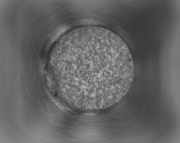 X0000076300159200610201556