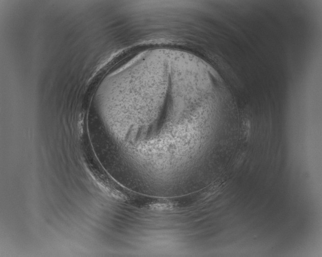 X0000076300160200610201556