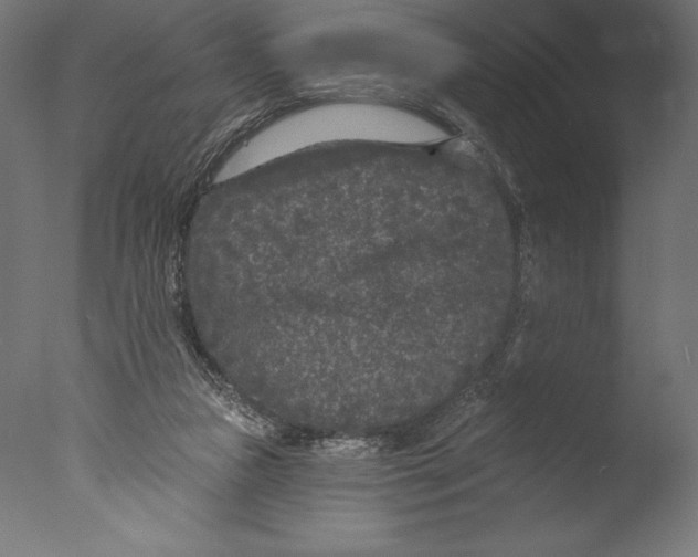 X0000076300161200610201556