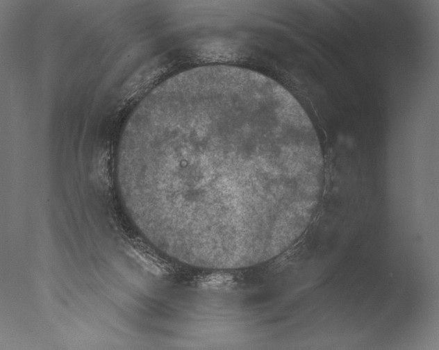 X0000076300162200610201556