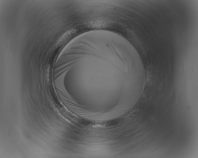 X0000076300163200610201556