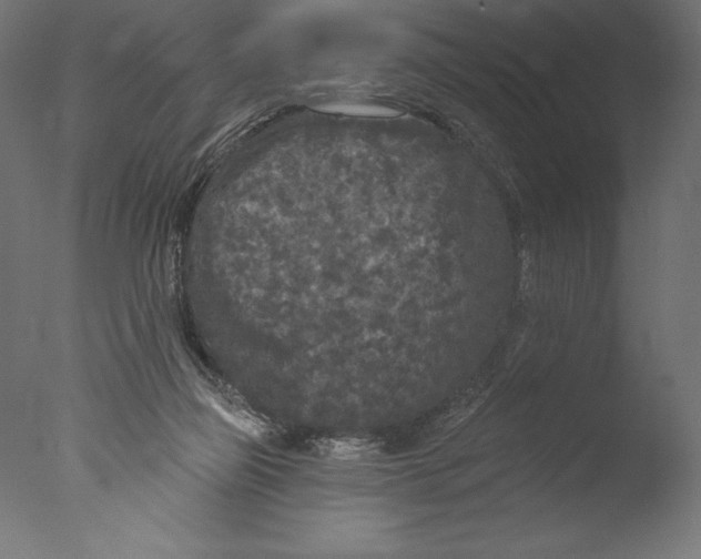 X0000076300165200610201556